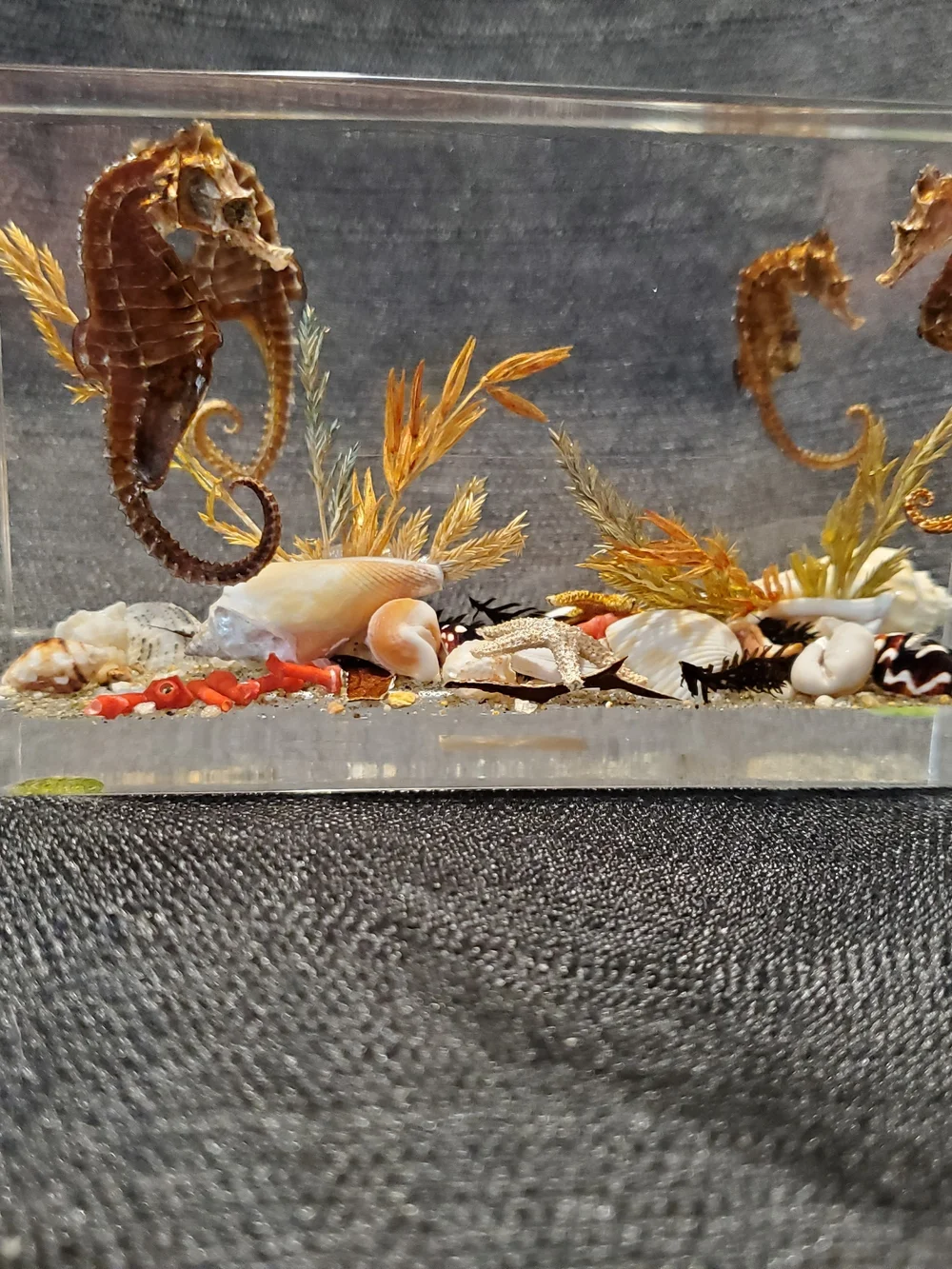 Vintage Mid-Century Canadian Lucite Seahorse Acrylic Block Paperweight